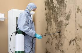 Professional Mold Remediation in Hummelstown, PA